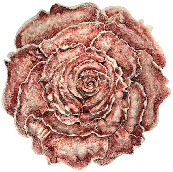 The Corals want to be Roses...! 